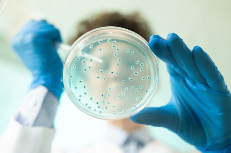 Microbiology